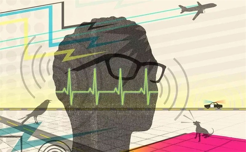 悲劇,聲學處理不好,噪音引發血案 悲劇,聲學處理不好,噪音引發血案